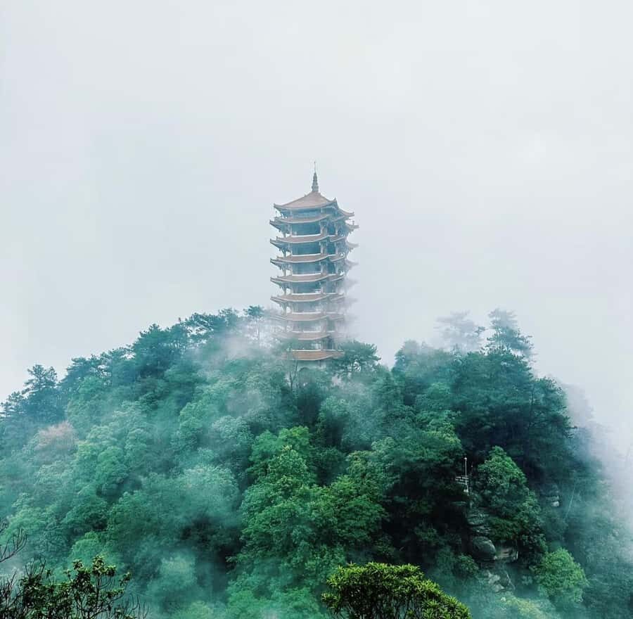 Chongqing: Jinyun Mountain, Museum & Old Street Tour - Natural History Museum — Dinosaurs and Discoveries