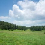 Chongqing Wulong Karst tickets optional chartered tours - What to Expect from the Tours