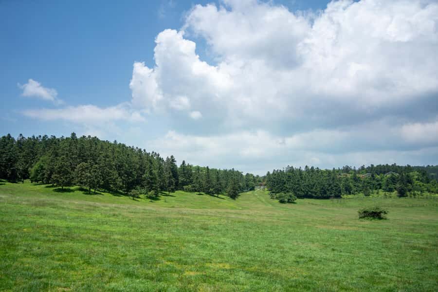 Chongqing Wulong Karst tickets optional chartered tours - What to Expect from the Tours