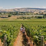 Christchurch City & Waipara Valley Wine Tour - Riverside Market: A Foodie Haven and Local Artisan Hub