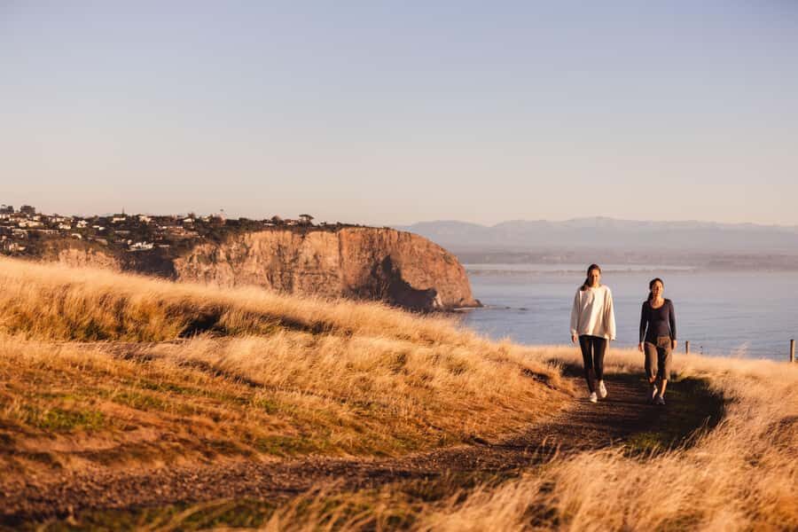 Christchurch: Guided Crater Rim Walk with Coastal Scenery - Who Will Love This Tour?