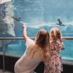 Christchurch International Antarctic Centre Entry Tickets - Is It Worth the Price?