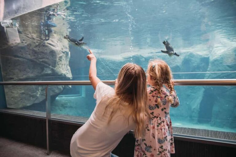 Christchurch International Antarctic Centre Entry Tickets - Is It Worth the Price?