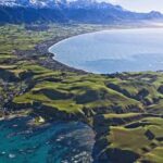 Christchurch: Kaikoura Whale Watching Day Tour - What Makes This Tour Stand Out?