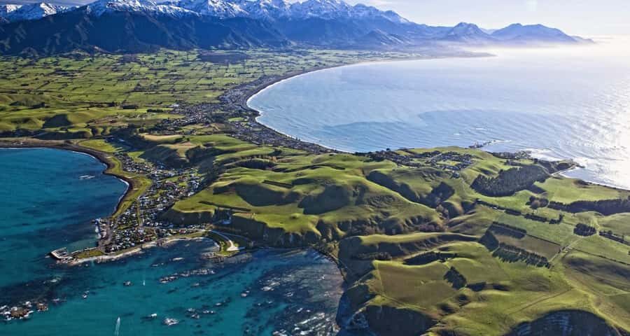 Christchurch: Kaikoura Whale Watching Day Tour - What Makes This Tour Stand Out?