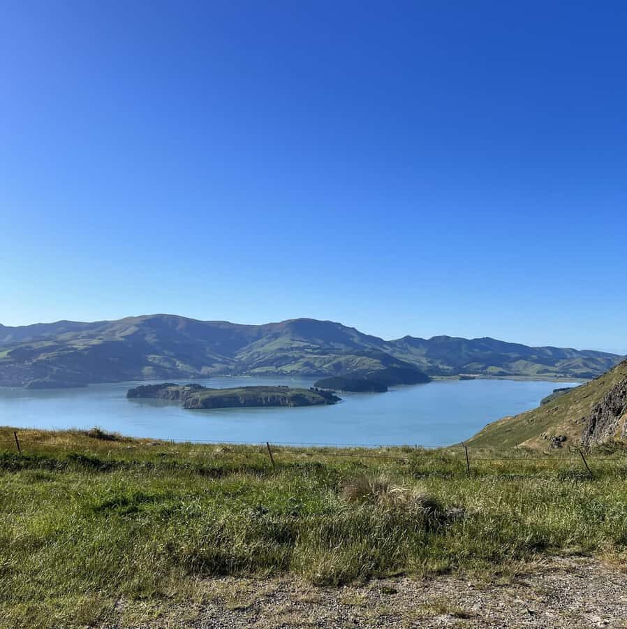 Christchurch: Port Hills Full-Day Trail Running Tour - Authentic Insights from Reviewers