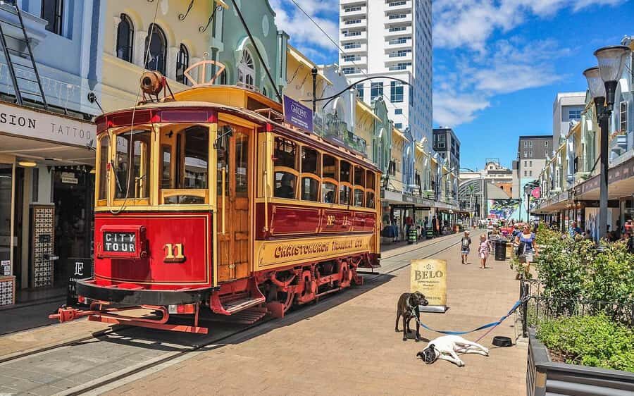 Christchurch: Private City Day Tour - What Makes This Tour Stand Out?