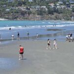 Christchurch Sightseeing & Lyttelton Harbour Tour - Transportation & Group Experience