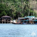 Chumphon: Jet Ski Adventure with Island Trip Option - What to Expect from the Tour