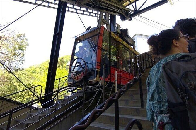 Chureito Pagoda-Arakurayama and Lake Kawaguchi Guided Tour - The Experience: Practicalities and Tips