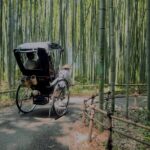 Cinematic Portrait Film Experience in Kyoto with Local Filmmaker - Practical Details: What You Need to Know