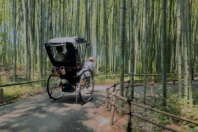 Cinematic Portrait Film Experience in Kyoto with Local Filmmaker - Practical Details: What You Need to Know