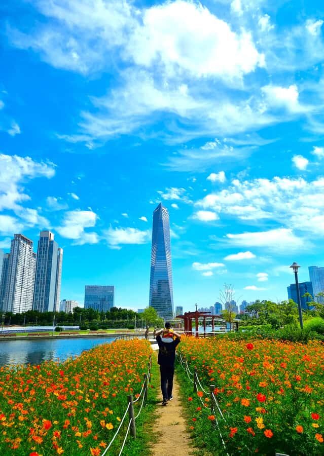 Cinematic Seoul: Private Photo Journey with a Pro - Deep Dive into the Experience: Benefits & Drawbacks