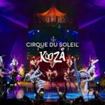 Cirque du Soleil KOOZA Show Ticket - Who Should Attend?