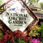 City Experience with National Orchid Garden + Roundtrip Transfers - Marina Bay and Downtown Landmarks