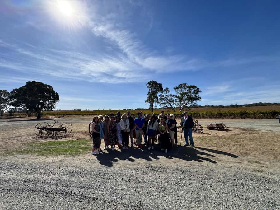 Clare Valley Uncorked: Full-Day Wine Adventure - What to Expect: A Well-Balanced Day