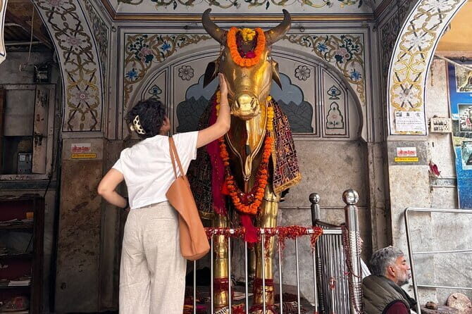 Classic Jaipur 101 Sightseeing, Food and E-Bike Tour - Practical Details and Logistics