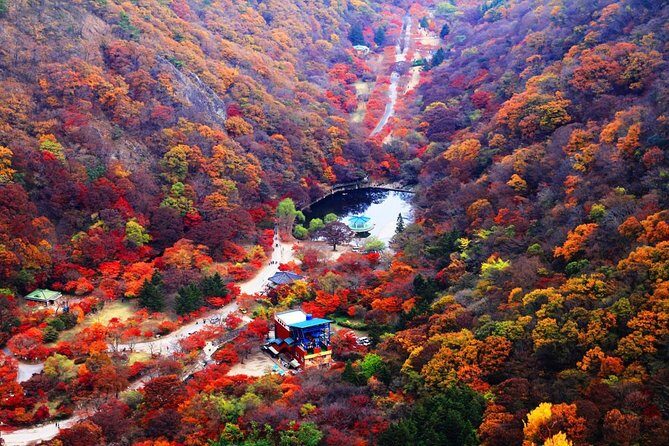 Classic Naejangsan National Park One Day Tour (Autumn Limited - Who Should Consider This Tour?