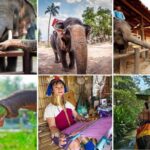 Classic Thailand Tour - Join in Day Tour - What’s Included and What to Expect