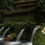 Cleansing and Healing Spiritual tour at Mengening Temple - Who Is This Tour Best For?