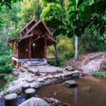 CNX: Trekking & Villager living in forest, tea& coffee farm - Exploring Mae Kampong Village