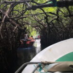 Coastal Ride to Galle from Negombo - What’s Included and What’s Not