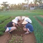 Coconut Jungle - Vegetable & Pottery Village- PRIVATE TRANSFER - Practical Tips and Considerations