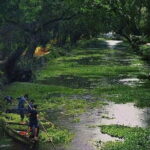 Coconut Lagoon Backwaters-Kochi City Tour-Customizable-Pick&Drop - Why This Tour Offers Good Value