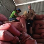 Coffee Experience _From Farm to Cup by Elon Farm - The Sum Up