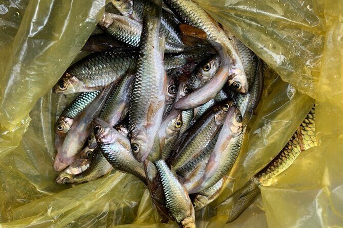 Coffee Lovers Farm and Roasting Tour - In-Depth Itinerary Breakdown