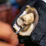 Coffin Bay Tour with Oyster Shucking and Off Road Adventure - Exploring the Itinerary in Detail