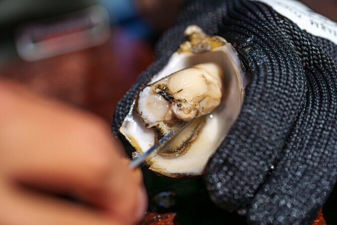 Coffin Bay Tour with Oyster Shucking and Off Road Adventure - Exploring the Itinerary in Detail