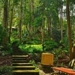 Colmar Tropicale & Japanese Village Day Tour from Kuala Lumpur - Who Should Consider This Tour?