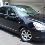 Colombo City to Bandaranaike International Airport transfer - Benefits of the Service Based on Feedback