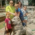 Colombo City to Negombo City Private Transfer - The Detailed Breakdown