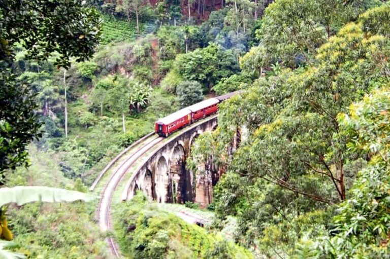 Colombo: Ella Scenic Train Tour with Hotel Transfers - Comfort and Seating Options