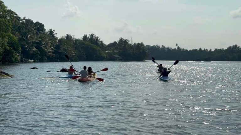 Colombo/Negombo: Koggala Lake Boat Safari and Kayaking Tour - Practical Details & Value