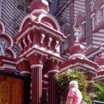 Colombo Shore Excursion to Panoramic Colombo with Kelaniya Temple - Who Is This Tour Best For?