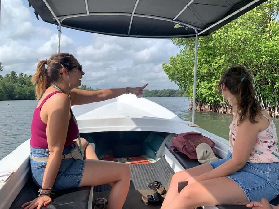 Colombo to Galle Day Tour with Tea Factory & Cinnamon Island - Practical Details & Tips