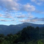 Colombo To Maskeliya & Waterfalls Day Trip - Exploring the Itinerary in Detail