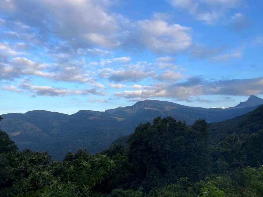 Colombo To Maskeliya & Waterfalls Day Trip - Exploring the Itinerary in Detail