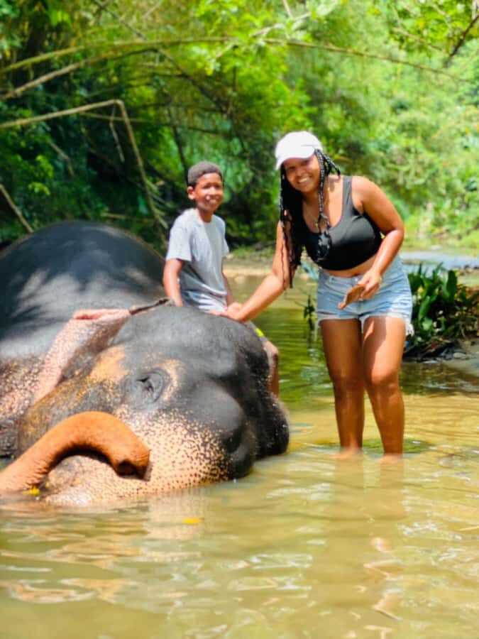 Colombo to Pinnawala & Kandy  Private Cultural Day Tour - Transportation and Practical Details