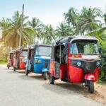 Colombo Tuk Tuk City Tour -Sightseeing Entry Fees - Detailed Breakdown of the Itinerary