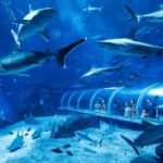 Combo Tickets for Universal Studios and Gardens by the Bay - Final Thoughts