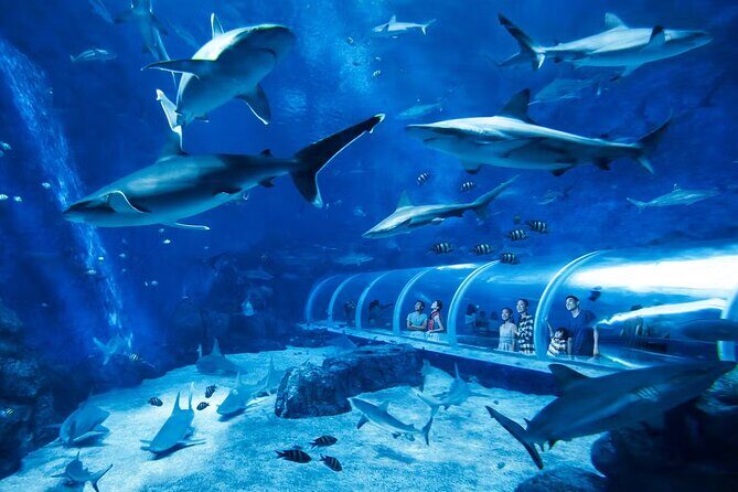 Combo Tickets for Universal Studios and Gardens by the Bay - Final Thoughts