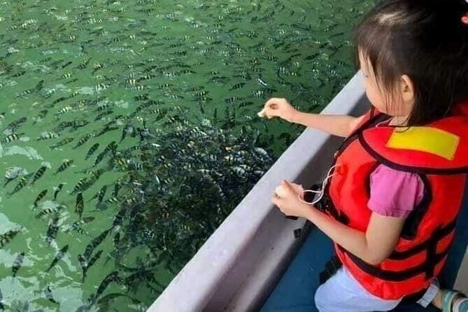 Combo:Langkawi Snorkeling & Tg Rhu mangrove private boat tour - What to Expect from Your Day in the Mangroves and Islands