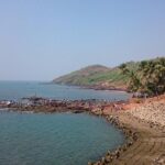 Complete North Goa Private Guide tour - Who Is This Tour Best For?