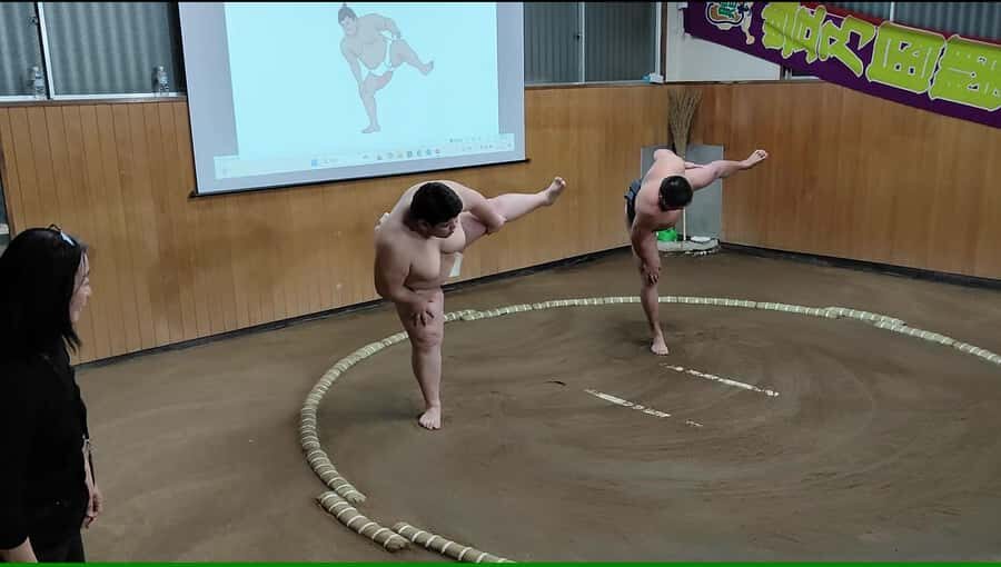 Complete sumo experience in Tokyo - Who Will Appreciate This Tour?