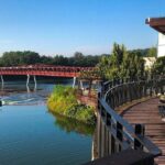 Coney island: Cycle in Singapore like a local! Eat like a local! - Practical Details and What You Should Know