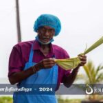 Cook Spicy Odiyal Khool: A Taste of Jaffna Culture - Who Will Love This Tour?